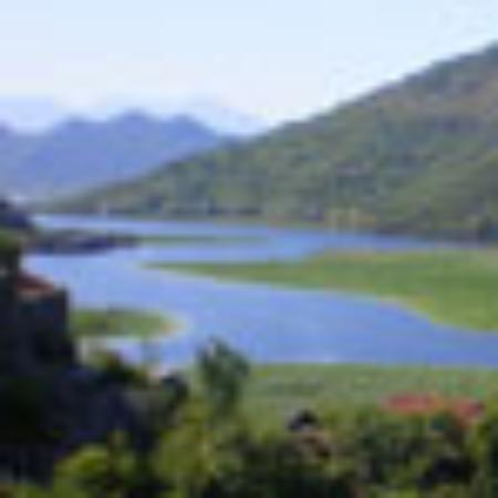 Gospoda W Michalowie